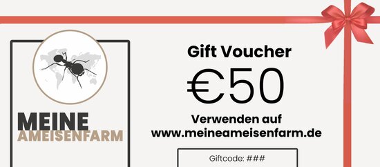 Geschenkgutschein 50 euro