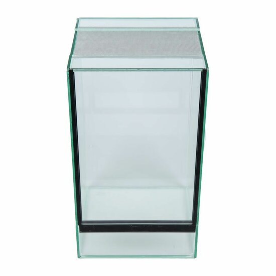 Insecten terrarium