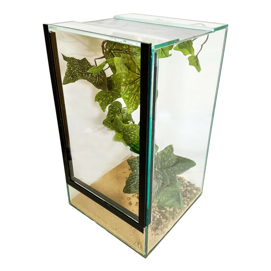 insecten terrarium met decoratie