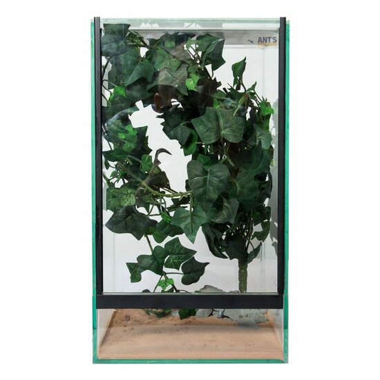 Insektenterrarium