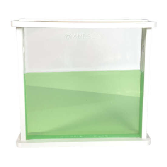 Ameisenfarm-Gel - WEI&szlig;