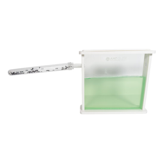 Ameisenfarm-Gel - WEI&szlig;