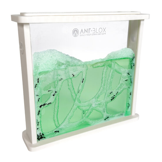 Ameisenfarm-Gel - WEI&szlig;