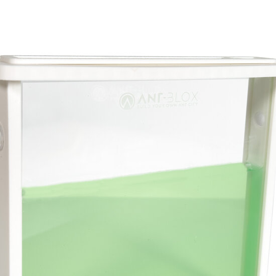 Ameisenfarm-Gel WEIß inklusive Ameisen