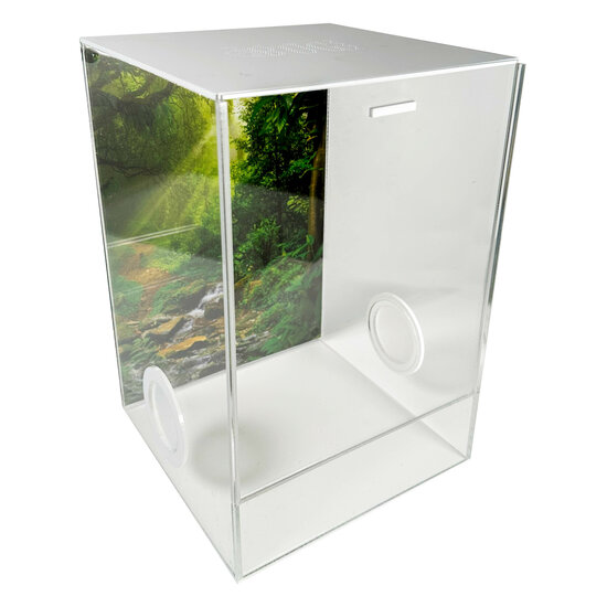 Insektenterrarium CUBE Cross deluxe 20x20x30