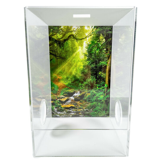 Insektenterrarium CUBE Cross deluxe 20x20x30