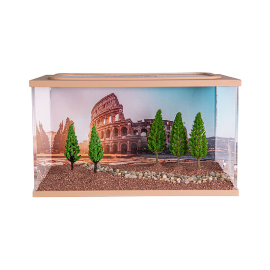 City Square BRAUN (Arena 20x13x12)