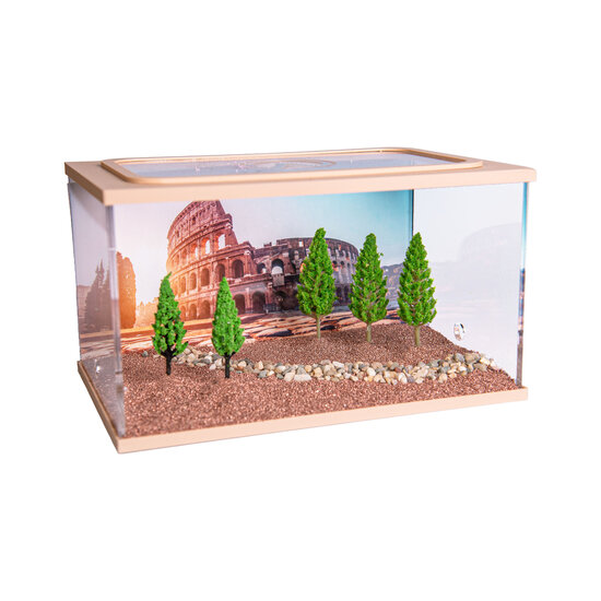 City Square BRAUN (Arena 20x13x12)