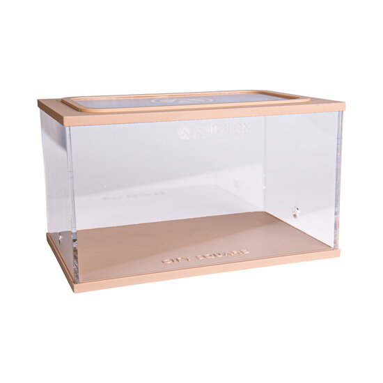 City Square BRAUN (Arena 20x13x12)