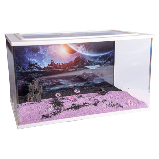 Capital Square WEISS (Arena 25x16x15)