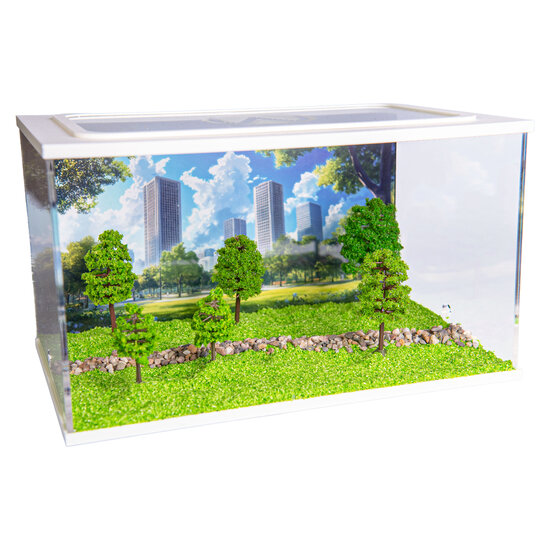 Capital Square WEISS (Arena 25x16x15)