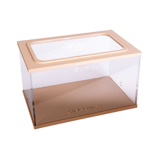 Capital Square BRAUN (Arena 25x16x15)