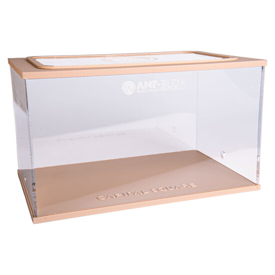 Capital Square BRAUN (Arena 25x16x15)