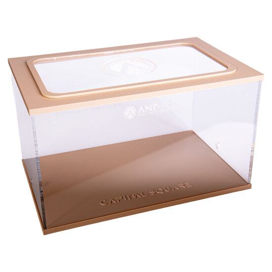 Capital Square BRAUN (Arena 25x16x15)