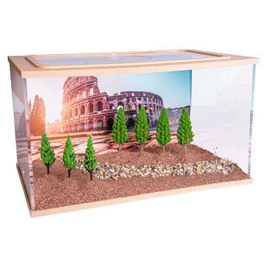 Capital Square BRAUN (Arena 25x16x15)