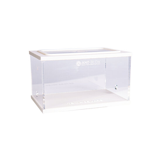 Town Square WEISS (Arena 15x10x9)