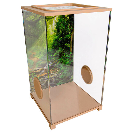 BioDome Insecten terrarium bruin - met backdrop