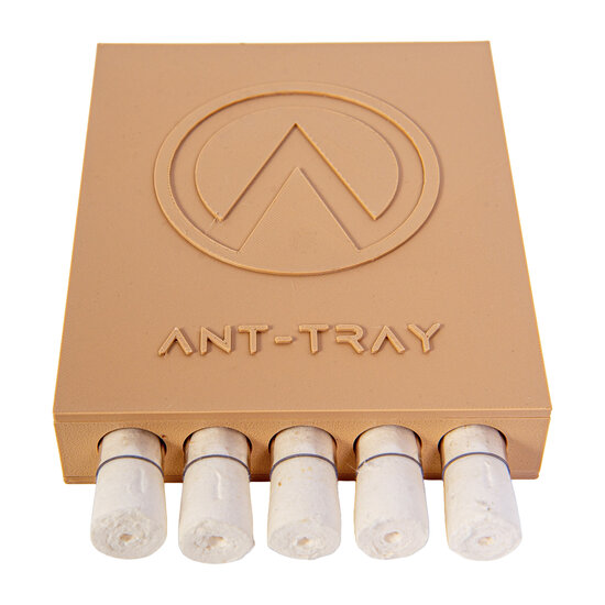 Ant Tray BRAUN