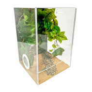 Ingericht terrarium