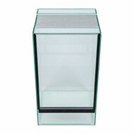 Insecten terrarium