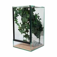 Insektenterrarium