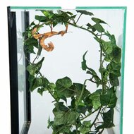 Insektenterrarium