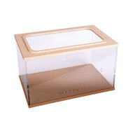 Capital Square BRAUN (Arena 25x16x15)