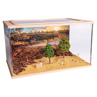 Capital Square BRAUN (Arena 25x16x15)