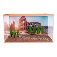 Capital Square BRAUN (Arena 25x16x15)