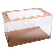 Capital Square BRAUN (Arena 25x16x15)