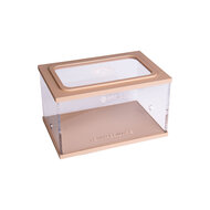 Town Square BRAUN (Arena 15x10x9)