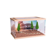 Town Square BRAUN (Arena 15x10x9)