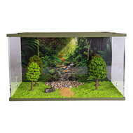 Ameisen-Design-Set- Capital (Einrichtung 25x16x15)