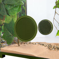 BioDome Insecten Terrarium ventilatie roosters