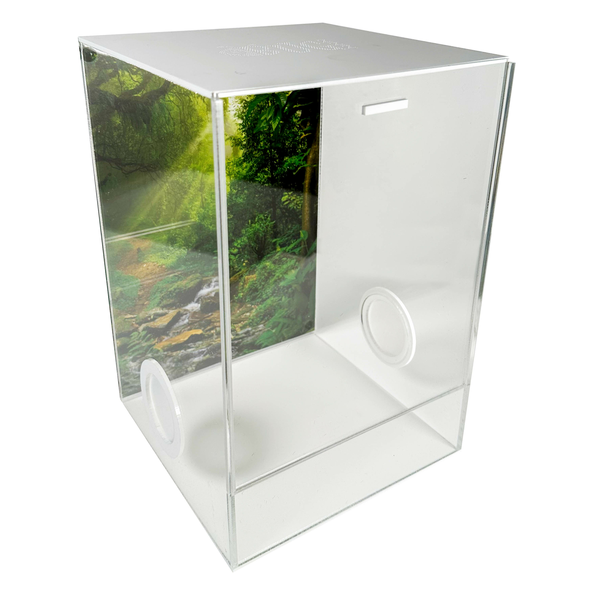 Insektenterrarium CUBE Cross deluxe 20x20x30