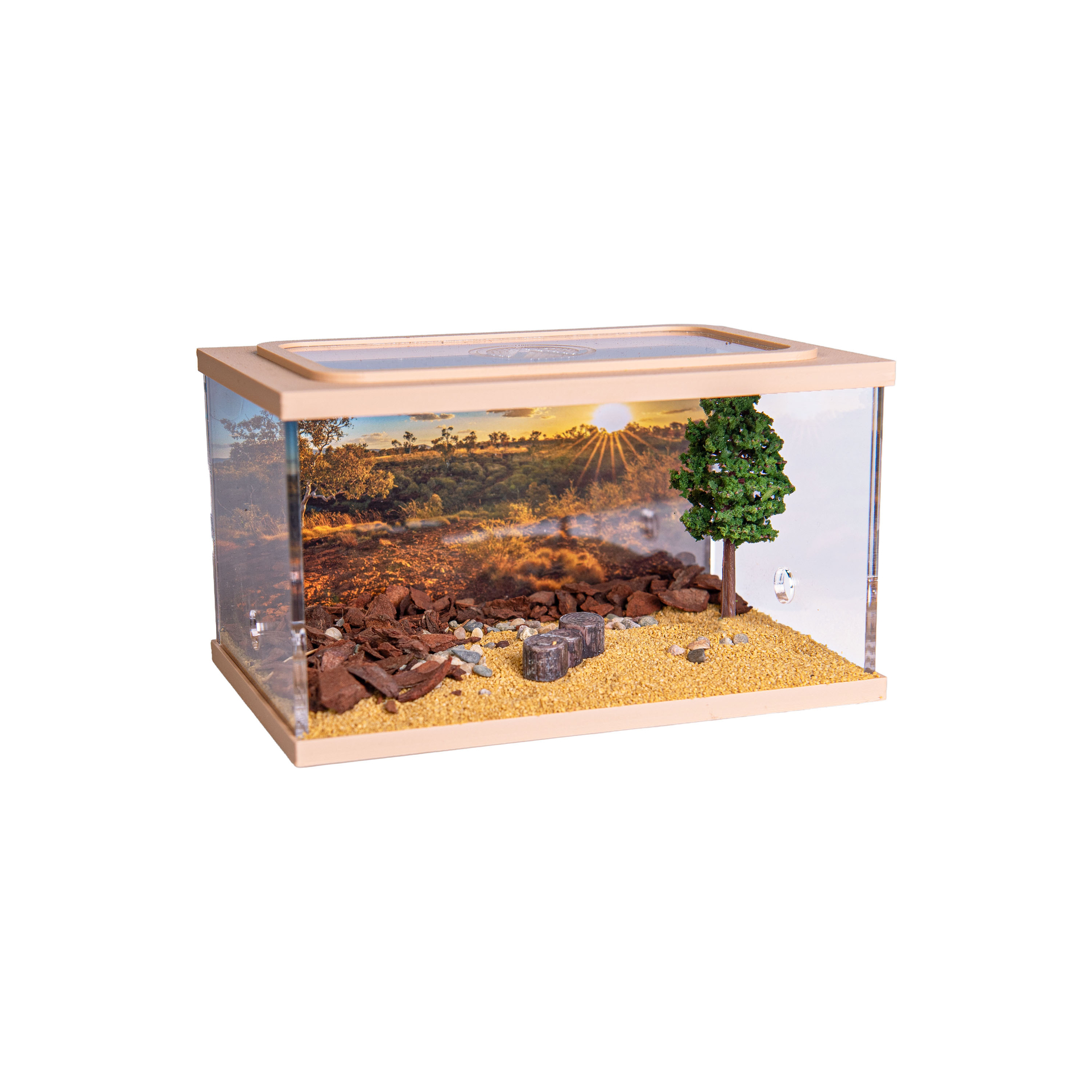 Town Square BRAUN (Arena 15x10x9)