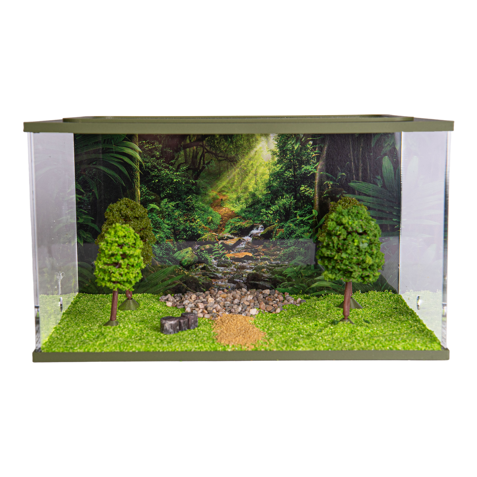 Ameisen-Design-Set- Capital (Einrichtung 25x16x15)