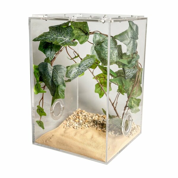 Insektenterrarium CUBE Cross deluxe 20x20x30