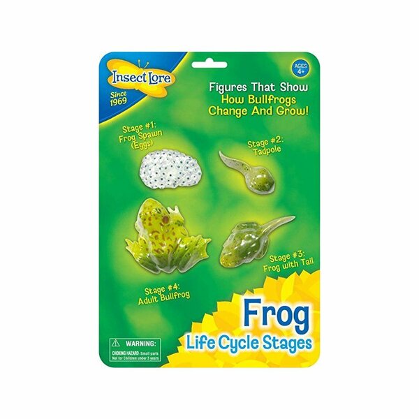 Lebenszyklus eines Frosches