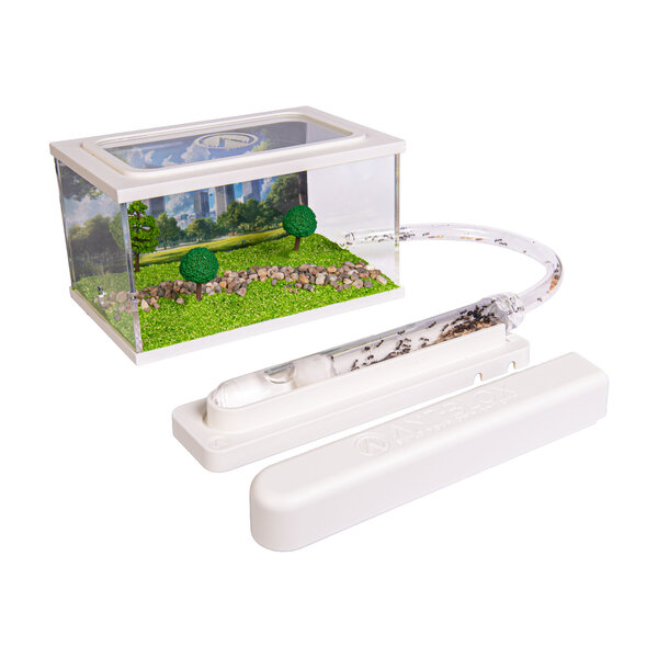 Ameisenfarm-Starterset, züchten Sie Ihre eigene Ameisenkolonie