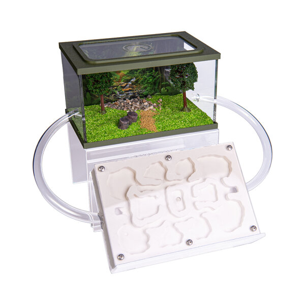 Ameisenfarm-Gips-Master-Set