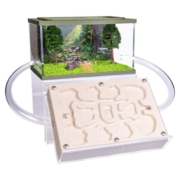 Ameisenfarm-Gips-Master-Set