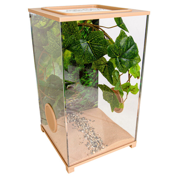 Insekten Terrarium – BioDome Braun (20x20x34)