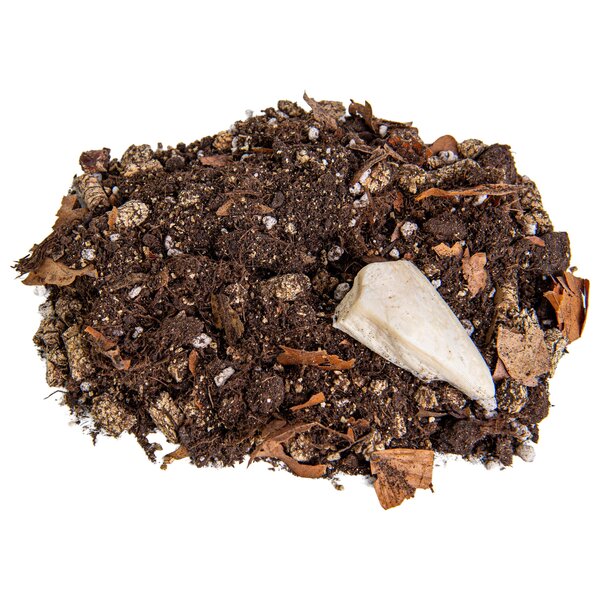 Isopods Zuchtsubstrat – Komplettes Substrat mit Nährstoffen & Sepia