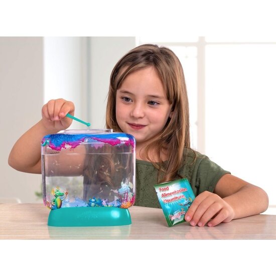 Aqua Dragons, entdecken Sie mit diesen Sea Monkeys eine neue Welt unter ...